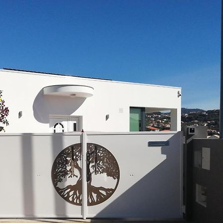 Hotel The Tree Of Life House Ponta do Sol  Esterno foto